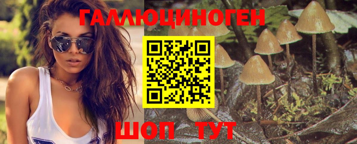 Псилоцибиновые грибы GOLDEN TEACHER Майский