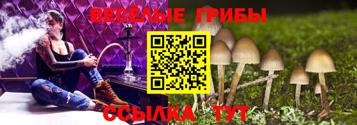 Майский  Галлюциногенные грибы Cubensis  Вход с VPN 