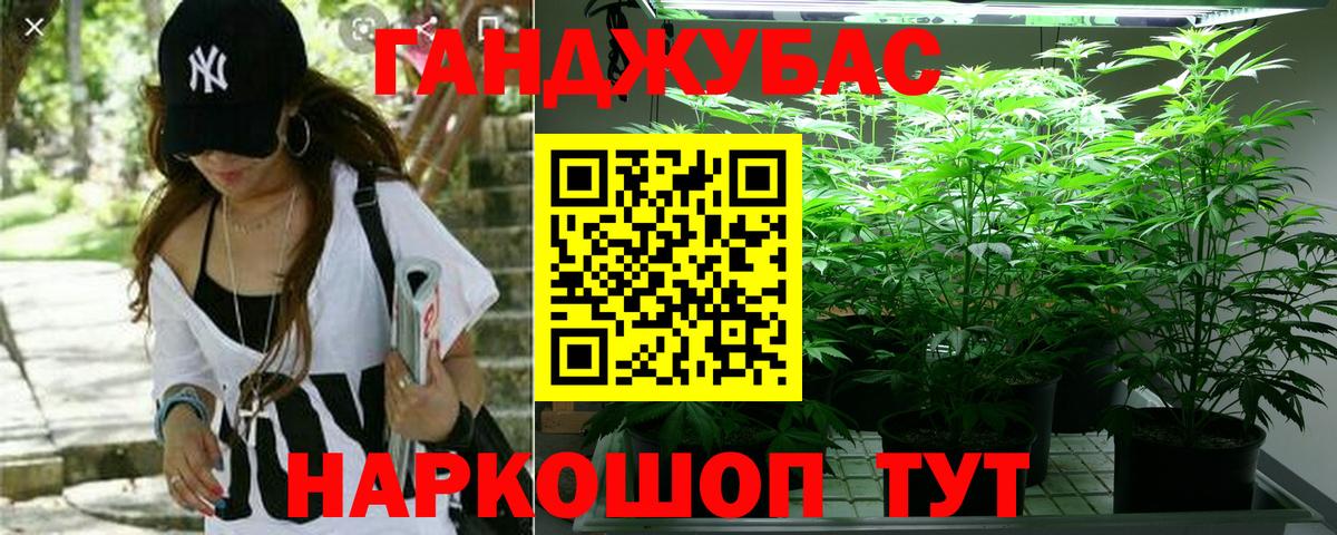 Конопля гибрид  Каннабис THC 21%  Шишки марихуана Bruce Banner  Майский  Вход с VPN  Каннабис Bruce Banner 